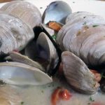 clams-head